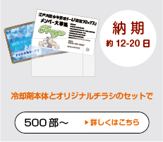 オリジナルちらし封入セットタイプ瞬間冷却パック