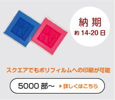 オリジナル外装ポリダイレクト＜正方形＞ポケットティッシュ